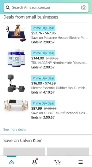 Allowing Amazon customers to support Small Businesses exclusively with their Prime Day purchases.